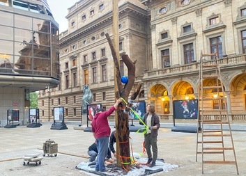 Na náměstí Václava Havla vyrostl strom přání a modliteb za Ukrajinu