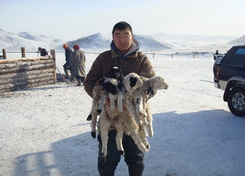 Extrémní mrazy a sníh ohrožují Mongolsko