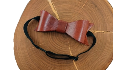 Kožený motýlek - Charita sv. Alexandra