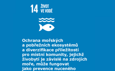 Život ve vodě