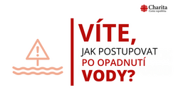Praktický průvodce tím, co dělat po opadnutí vody