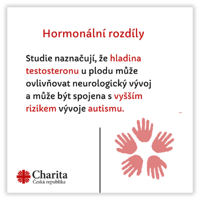 Hormonální rozdíly