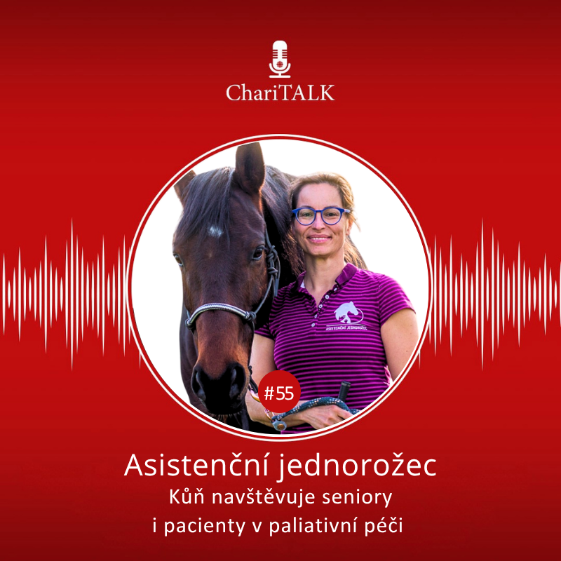 Kůň navštěvuje seniory i pacienty v paliativní péči