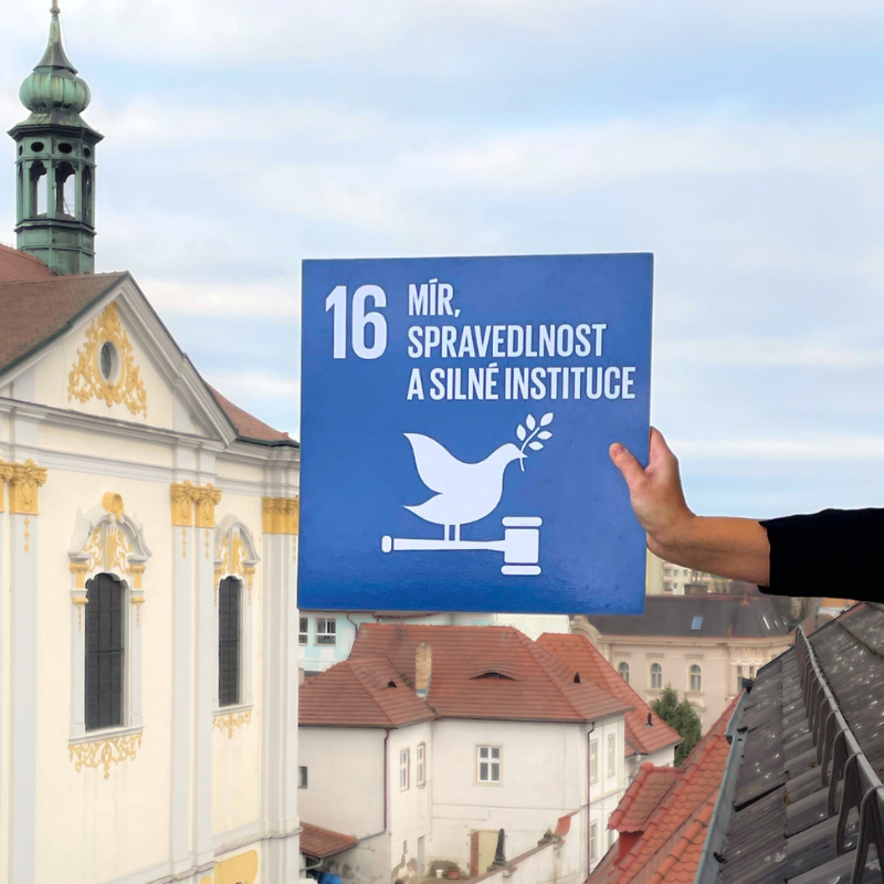 Building Bridges for Peace