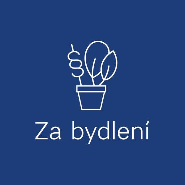 Iniciativa Za bydlení