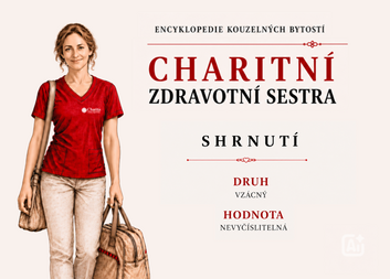 Zdravotní sestry nejsou jen za zdmi nemocnic